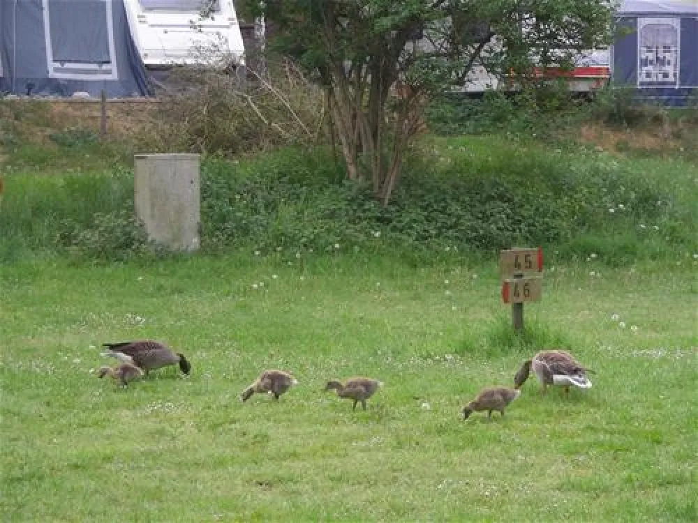 Naturcamping Zwei Seen
