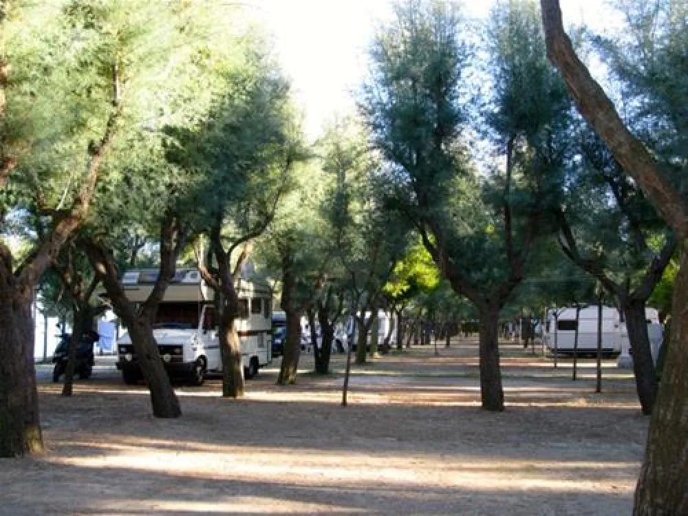 Campeggio Led Zeppelin