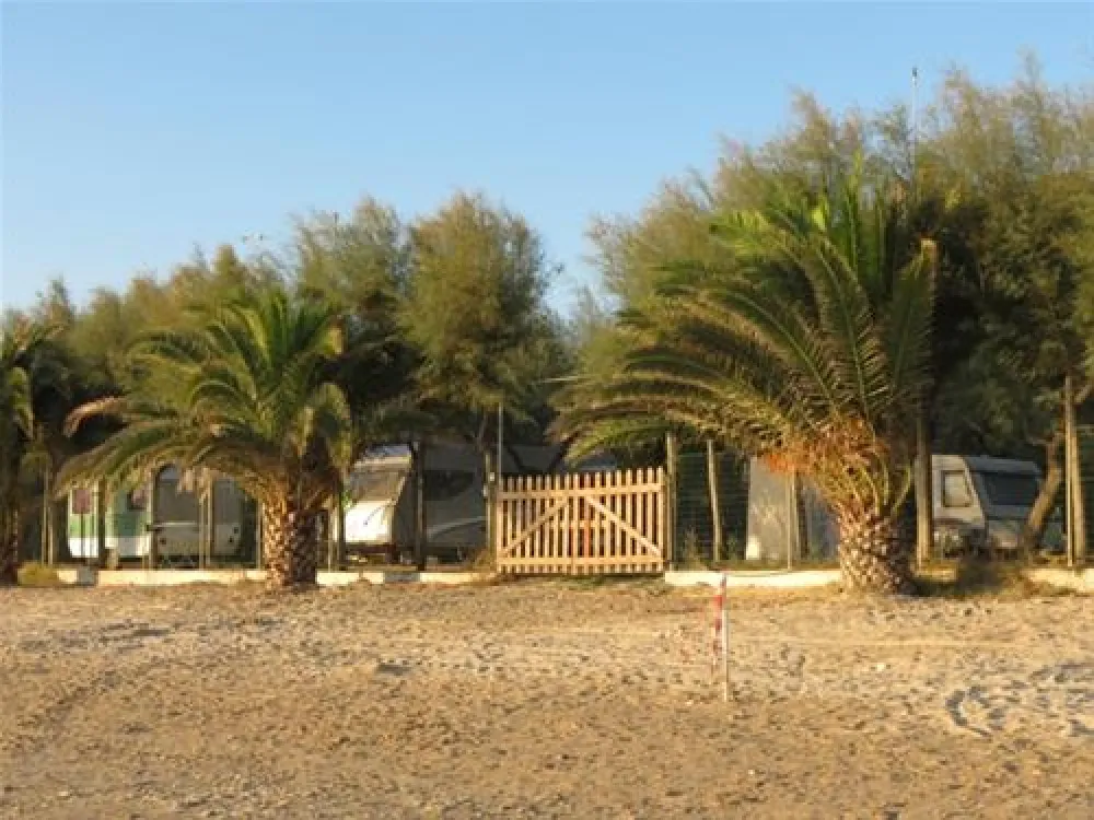 Campeggio Led Zeppelin