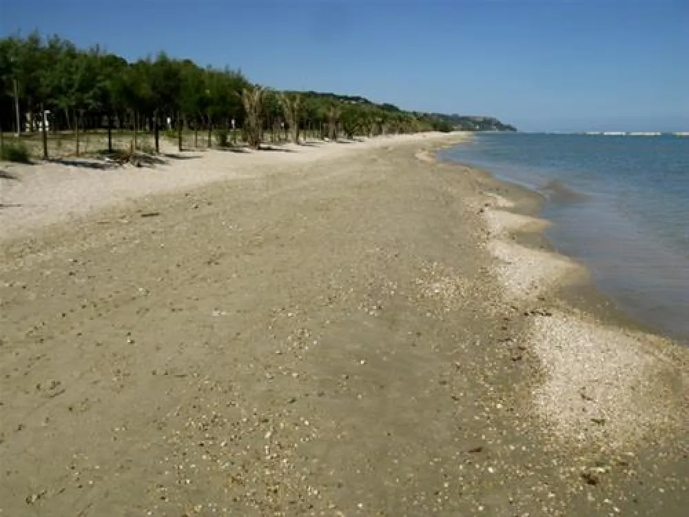 Campeggio Led Zeppelin