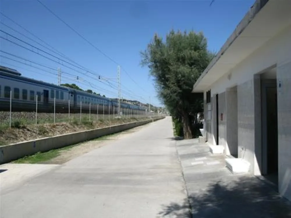 Campeggio Led Zeppelin