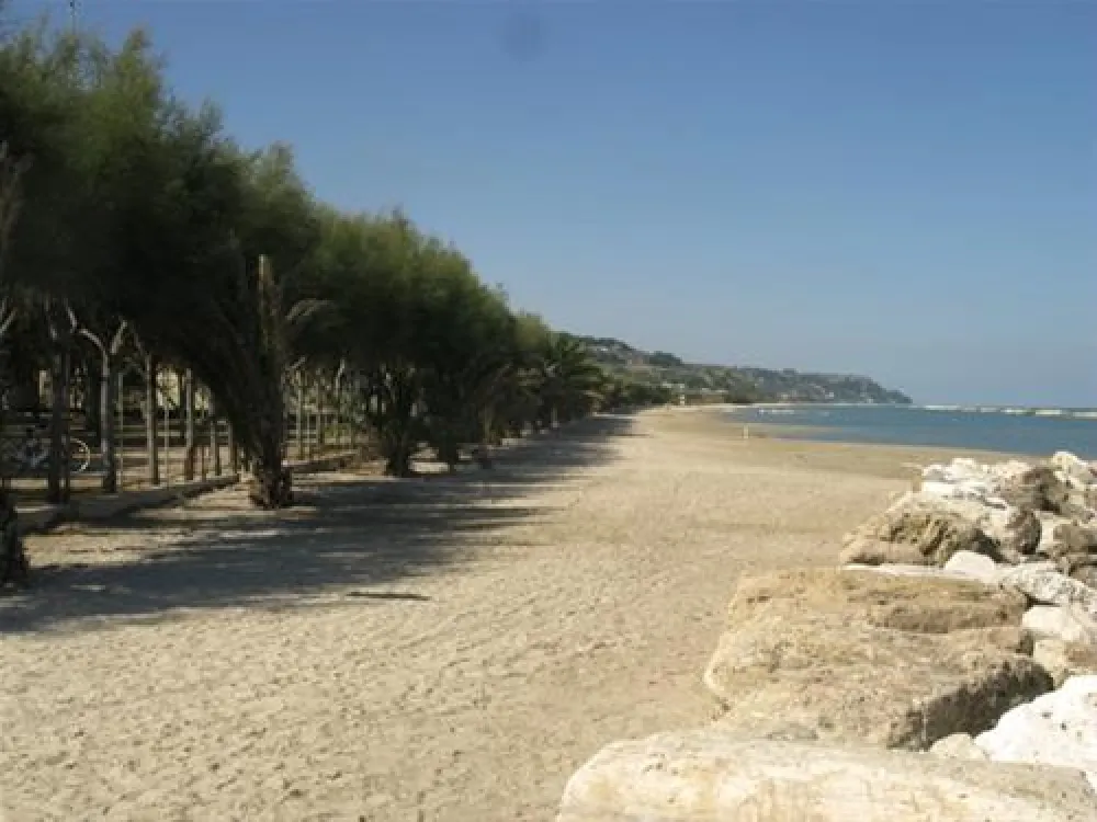 Campeggio Led Zeppelin