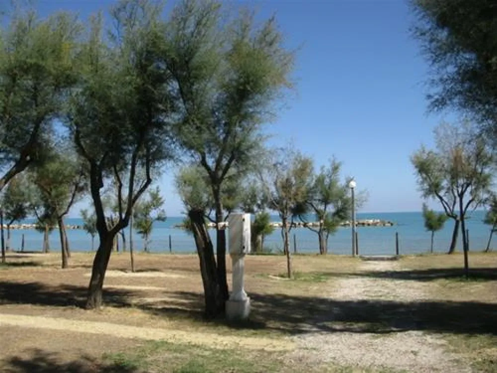 Campeggio Led Zeppelin