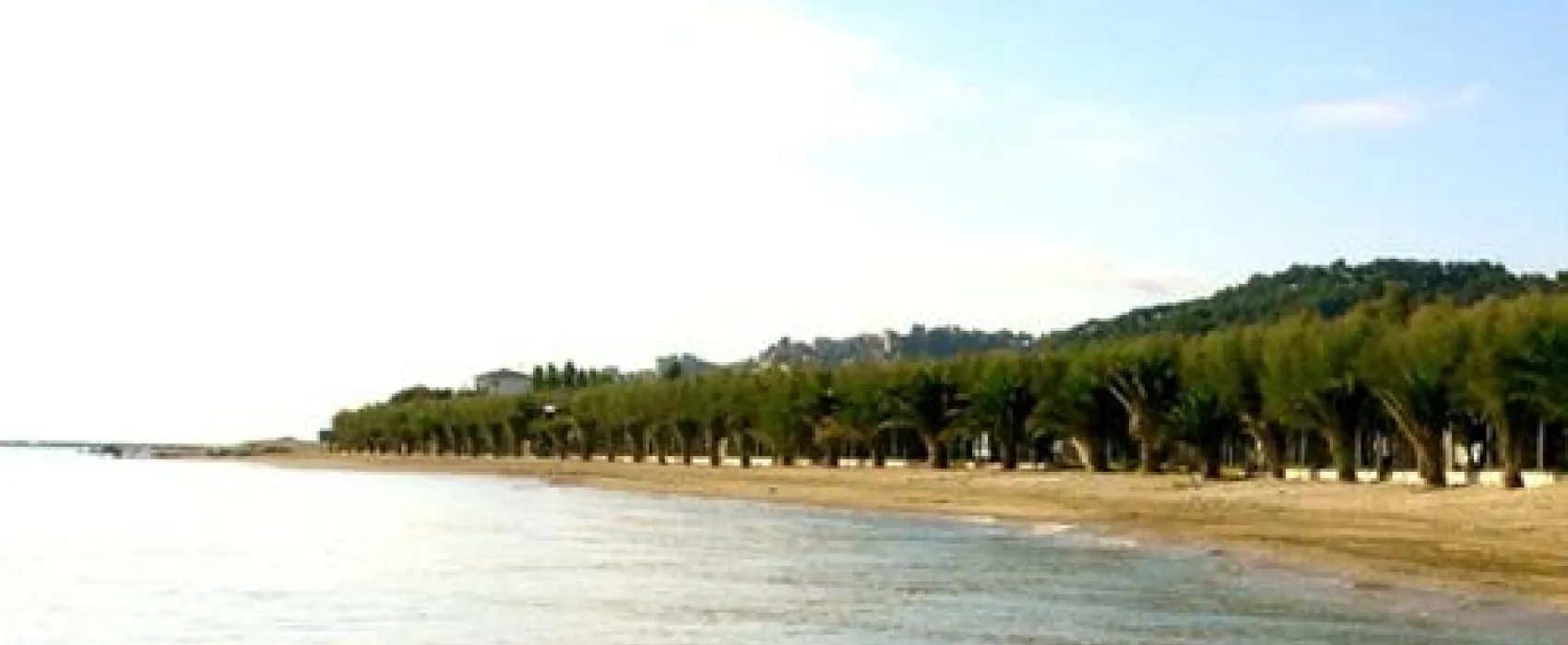 Campeggio Led Zeppelin