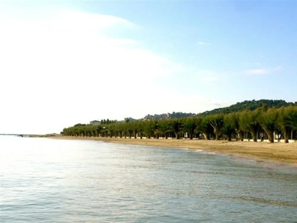 Campeggio Led Zeppelin