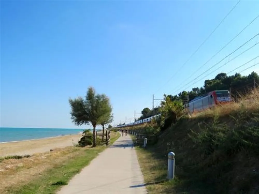 Campeggio Led Zeppelin