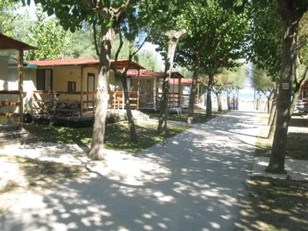 Campeggio Led Zeppelin