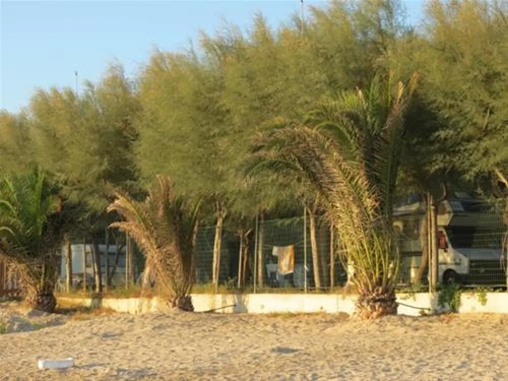 Campeggio Led Zeppelin