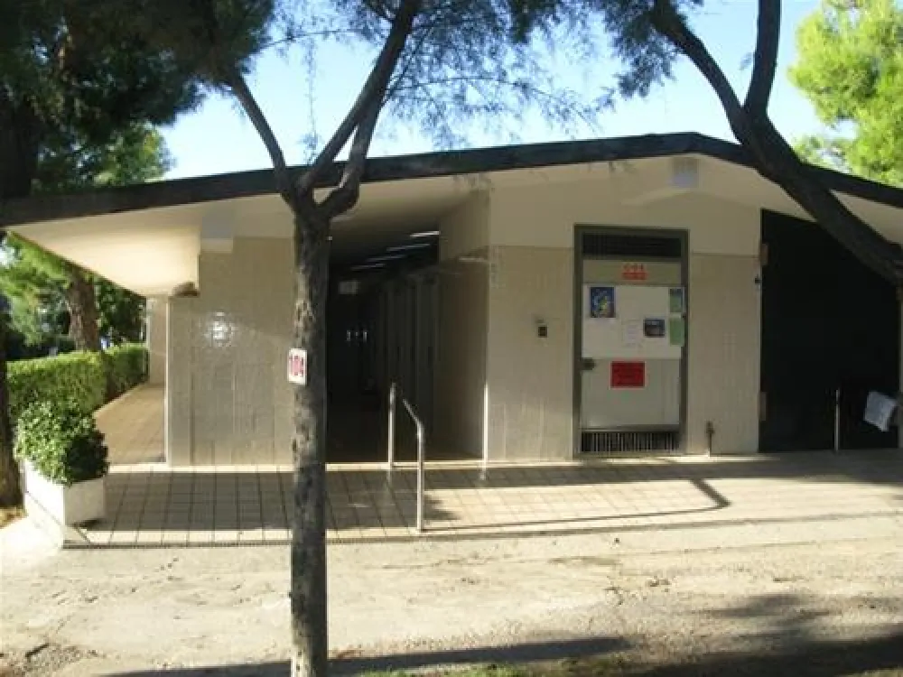 Campeggio Led Zeppelin