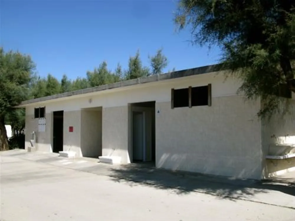 Campeggio Led Zeppelin