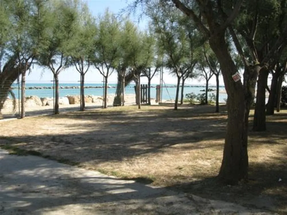 Campeggio Led Zeppelin