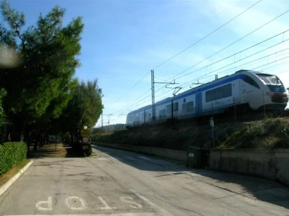 Campeggio Led Zeppelin