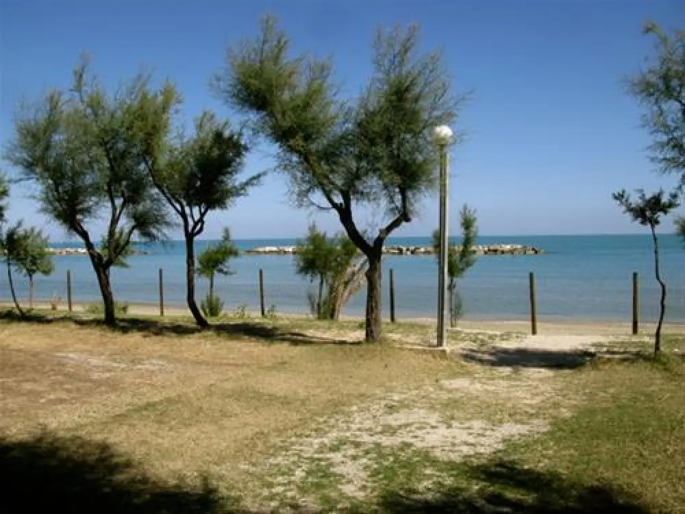 Campeggio Led Zeppelin