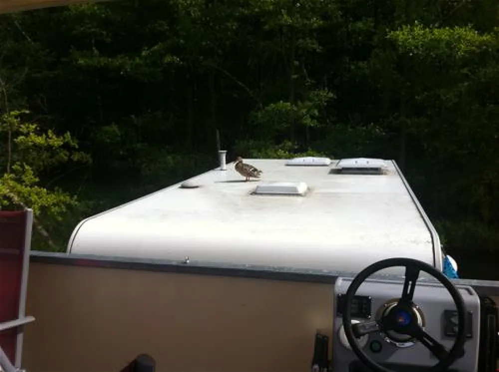 freecamper - Bootsurlaub im eigenen Campingmobil