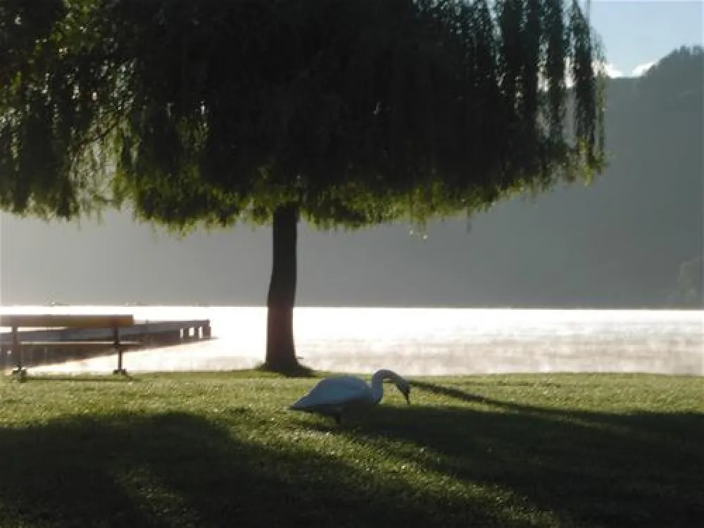 CampingBad Ossiachersee GmbH