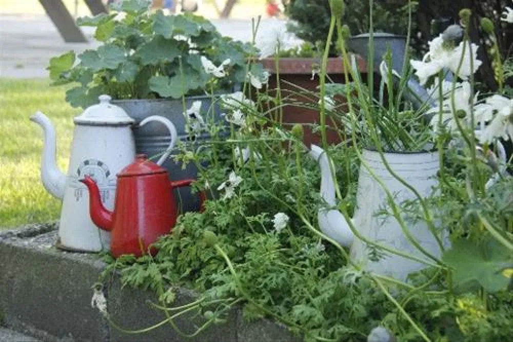 Camping De Veldmeijer