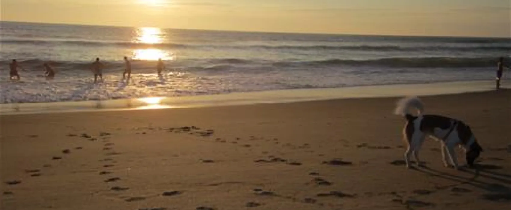 Camping Le Truc Vert  