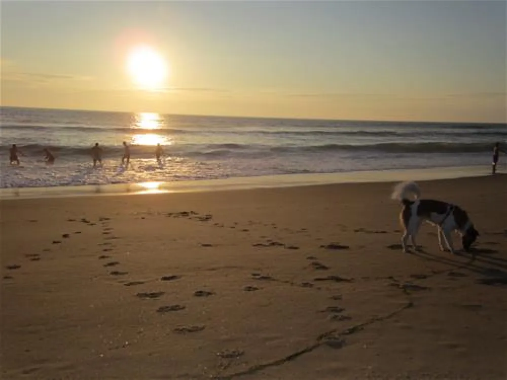 Camping Le Truc Vert  