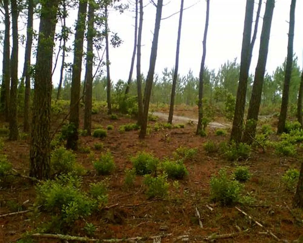 Camping Le Truc Vert  