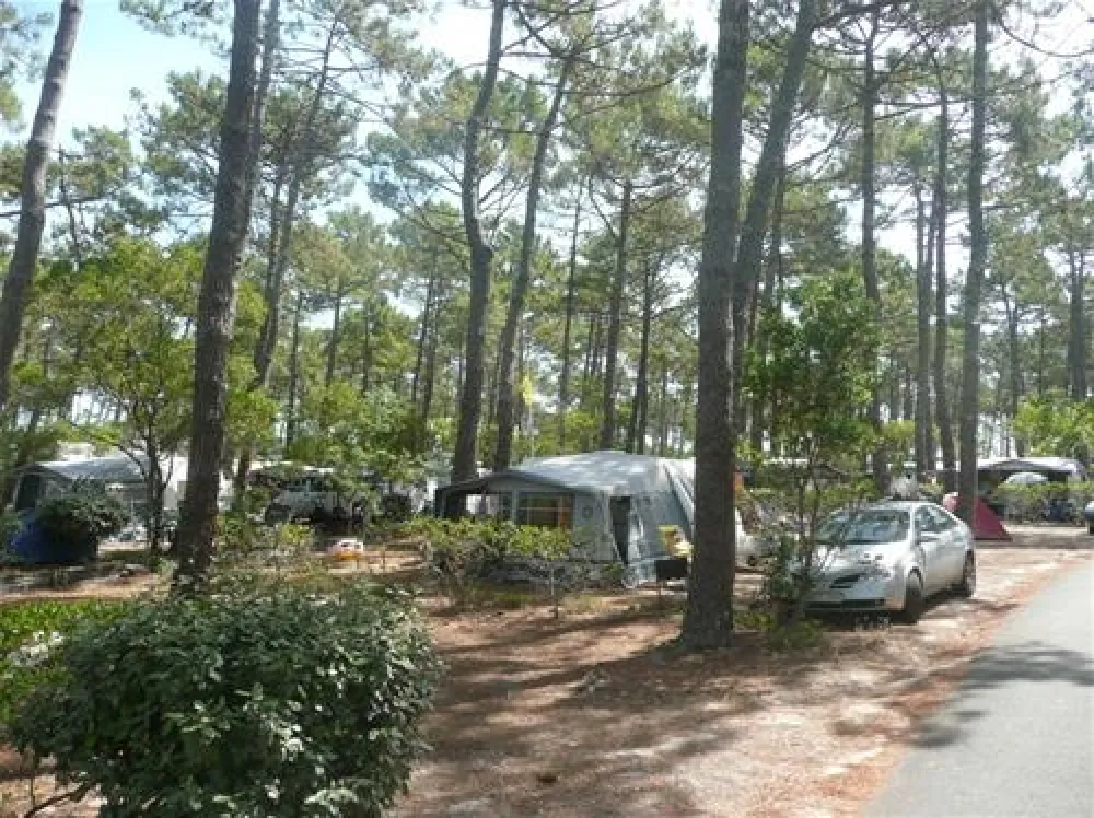 Camping Le Truc Vert  