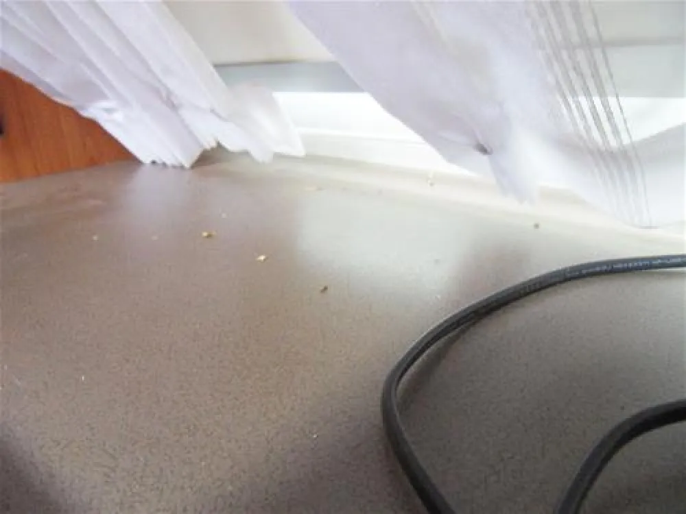 Camping- und Ferienpark Havelberge