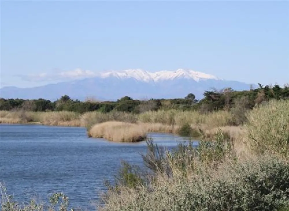 Flower Camping Le Soleil Bleu  