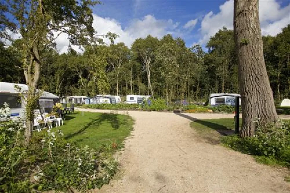 Kennemer Duincamping Geversduin