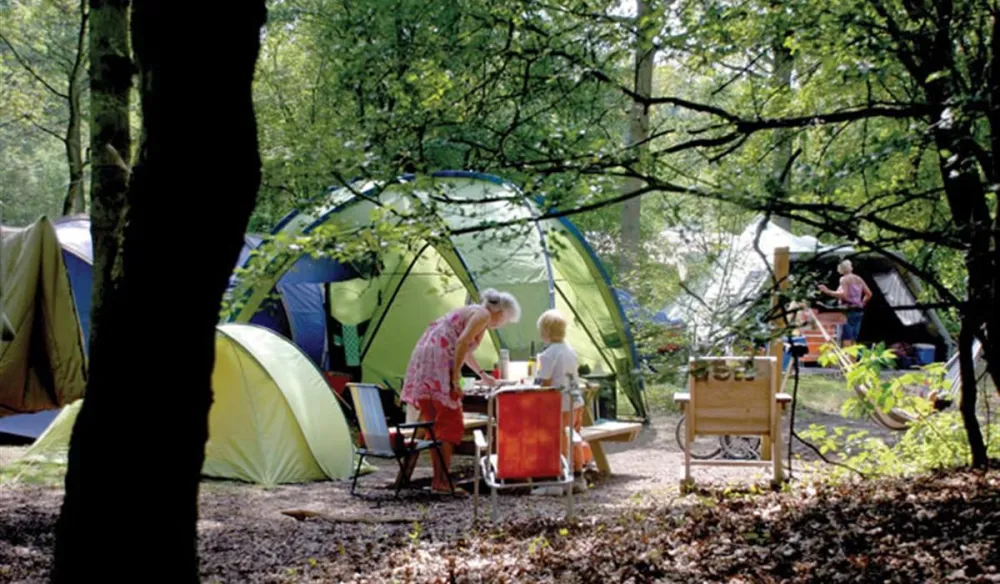 Kennemer Duincamping Geversduin