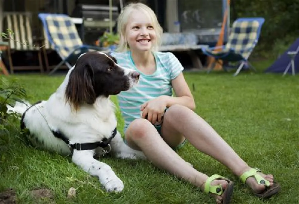 Kennemer Duincamping Geversduin