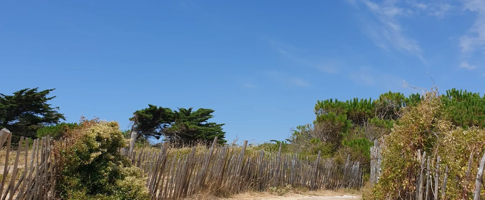 Camping Municipal Le Remondeau