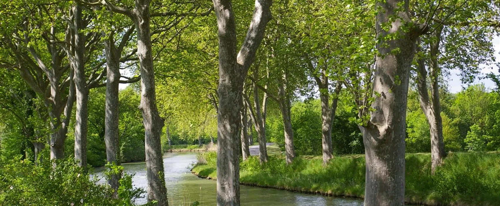 Camping Les Violettes