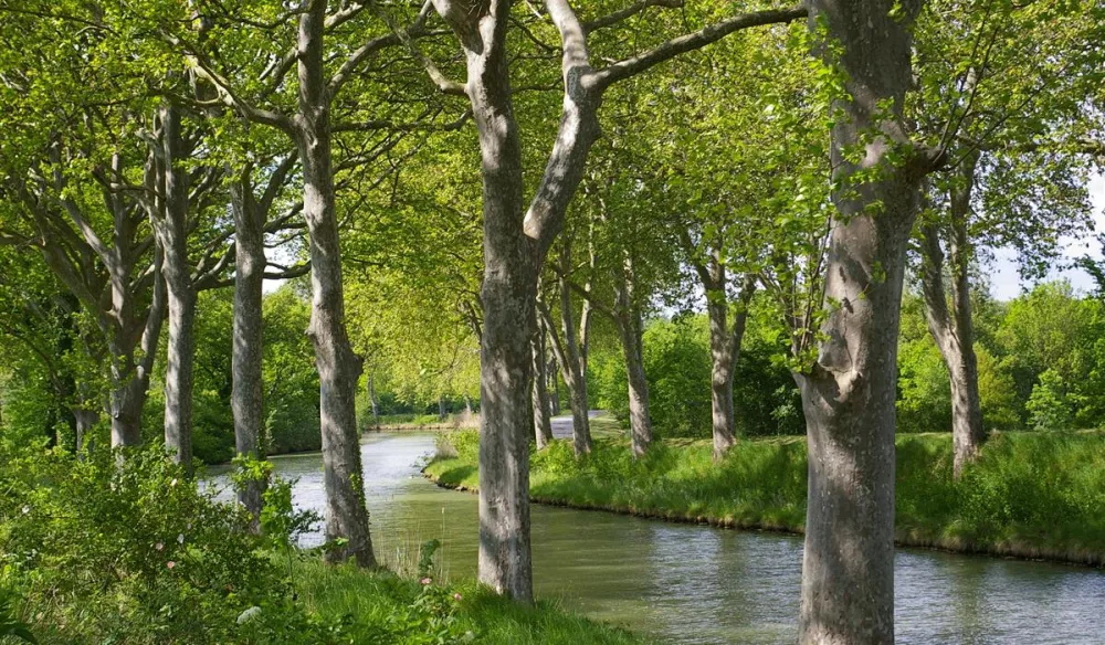 Camping Les Violettes