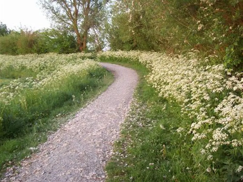 Strandcamping Terherne