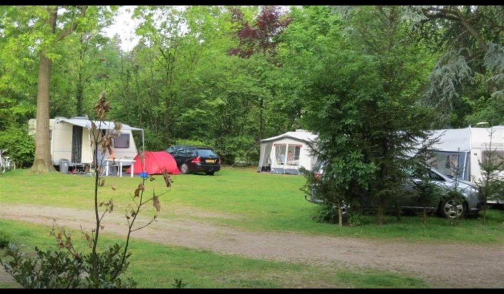 Camping Robertsoord
