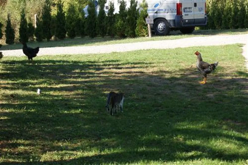 Camping Turist Grabovac