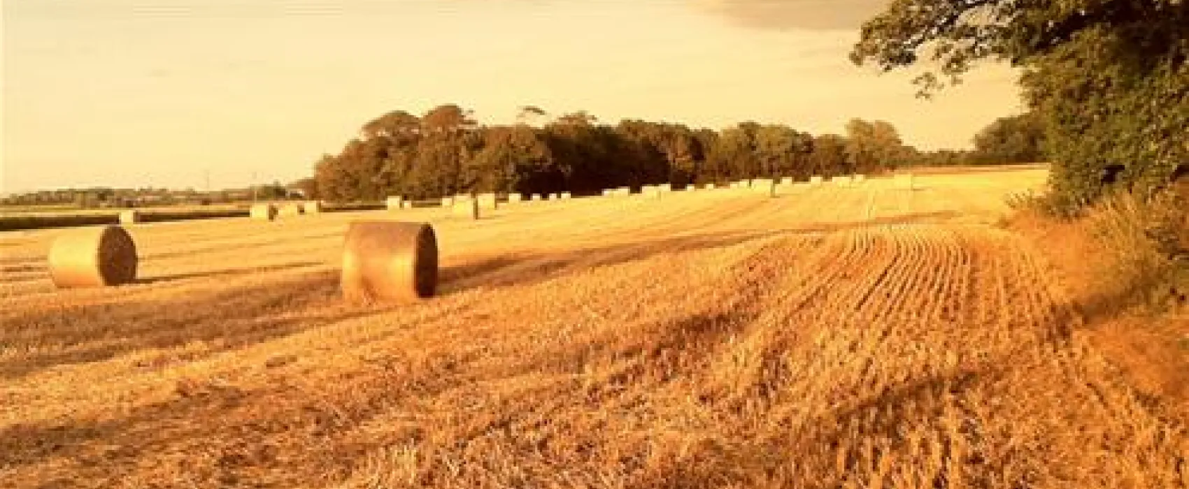 Eastham Hall Caravan Park