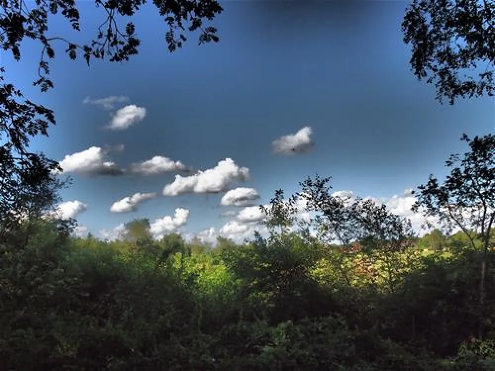 Camping- und Bungalowpark Ottermeer