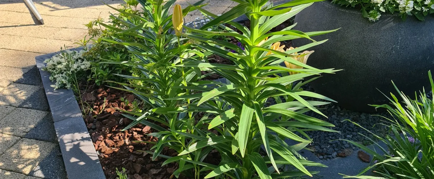 Camping Het Groene Eiland