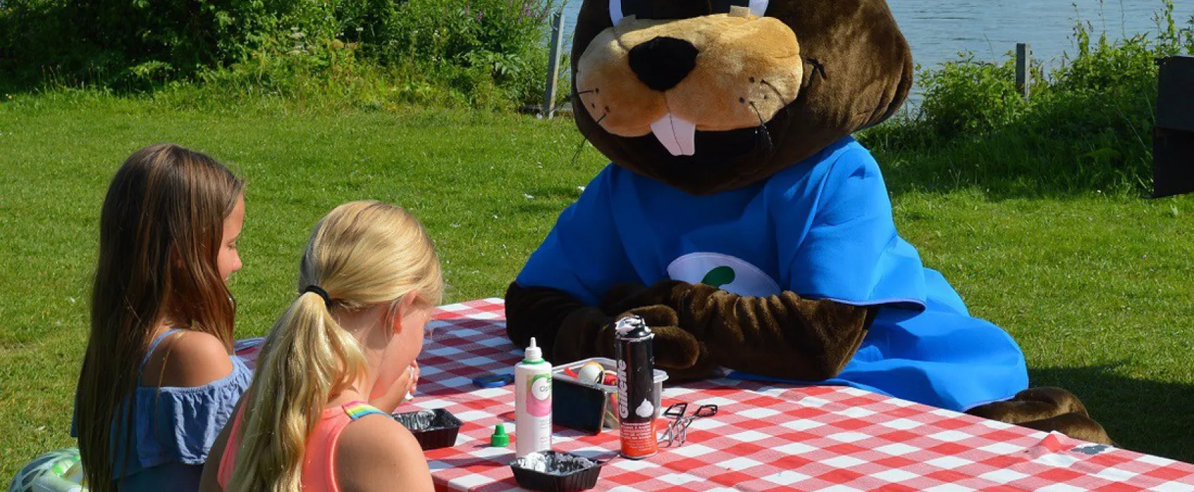 Camping Het Groene Eiland