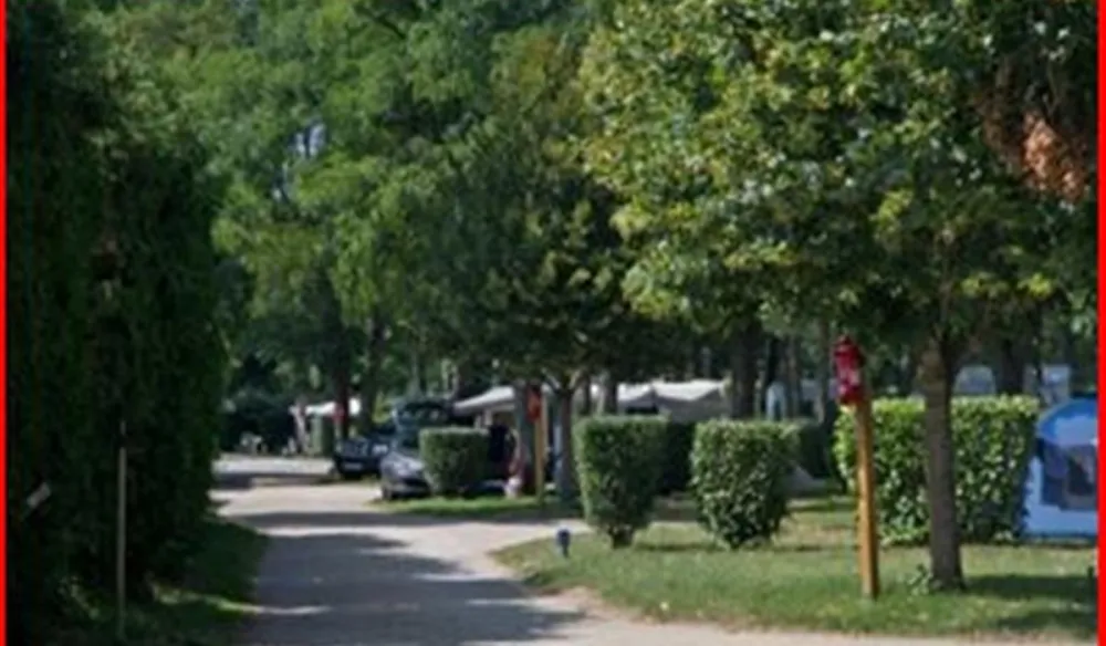 Flower Camping - Les Portes de Sancerre