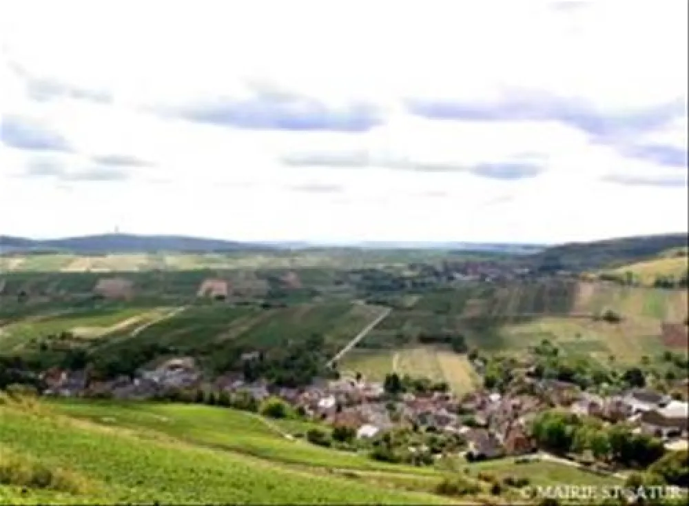 Flower Camping - Les Portes de Sancerre