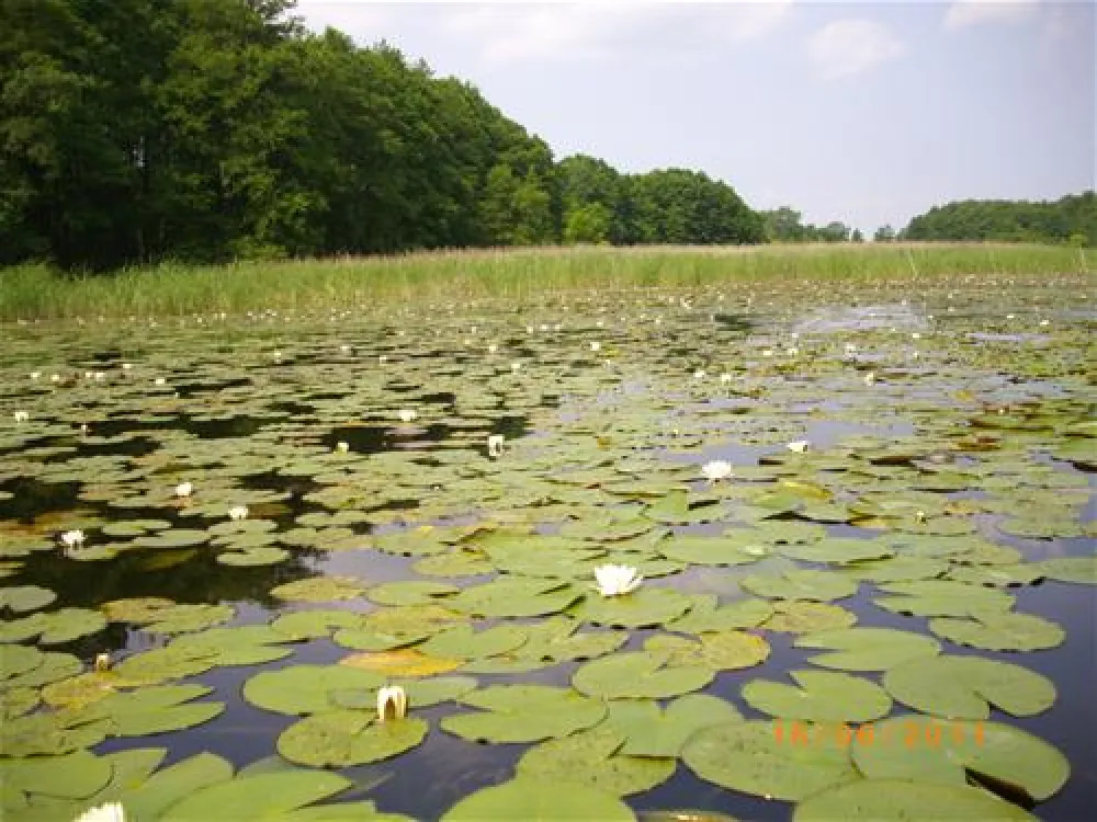FKK-Camping am Useriner See