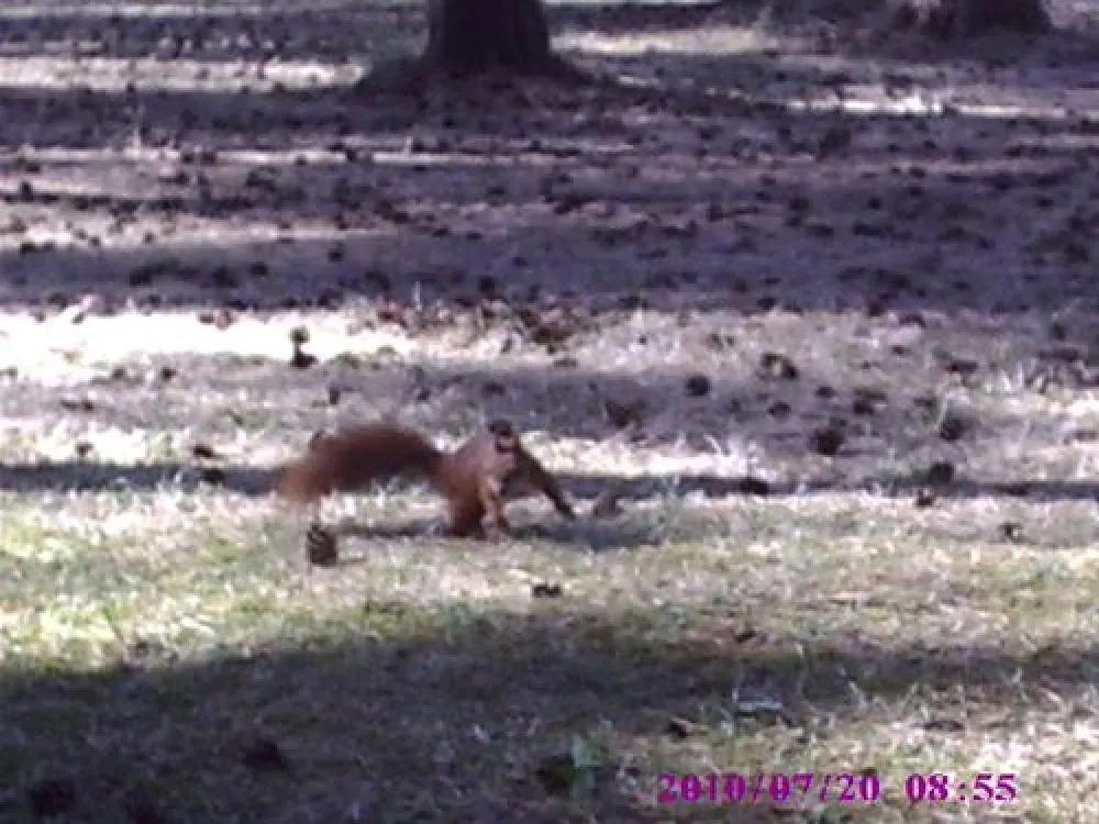 FKK-Camping am Useriner See