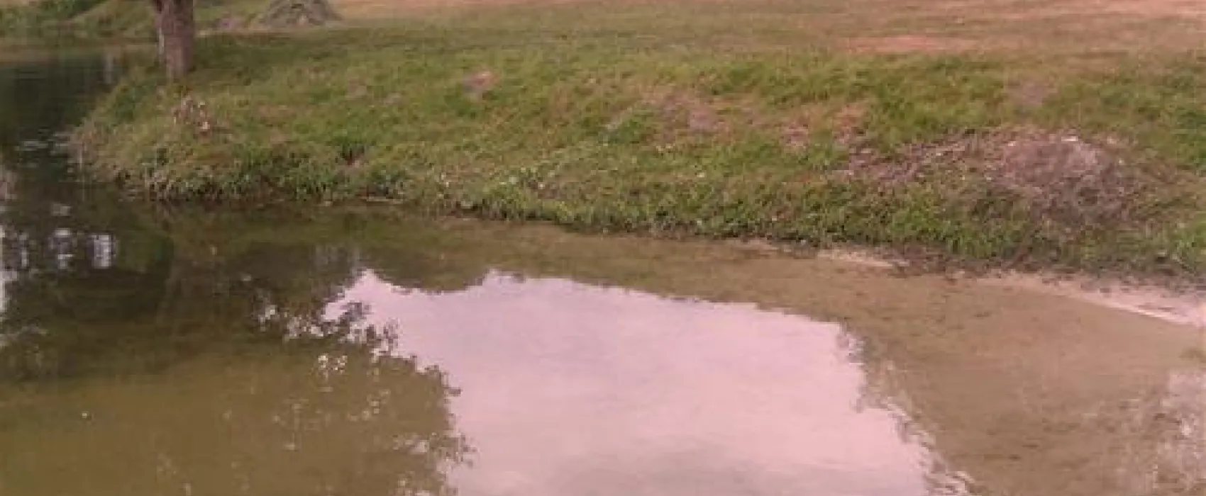 Freizeitpark Kronensee