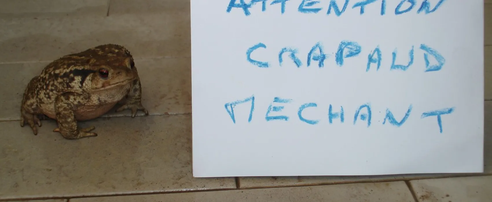 Parc Camping de Pramousquier