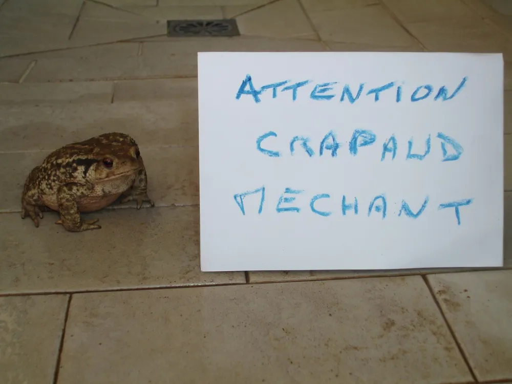 Parc Camping de Pramousquier