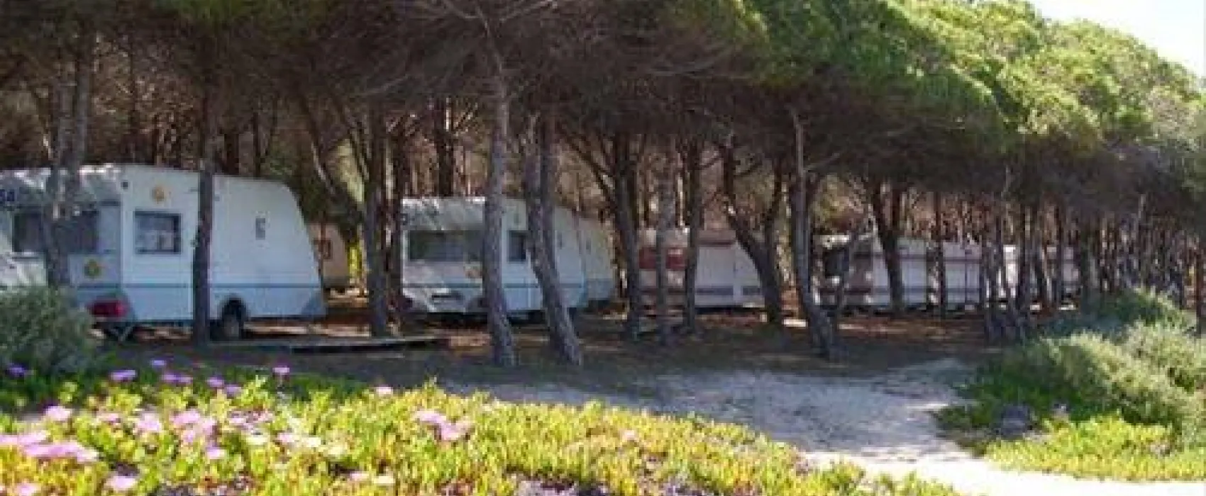 Camping Iscrixedda