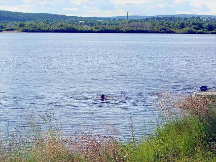 Camping Aavasuvannon Majat photo 2