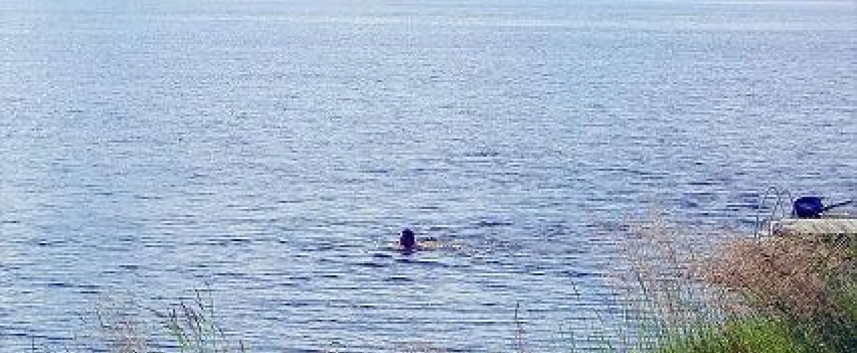 Camping Aavasuvannon Majat