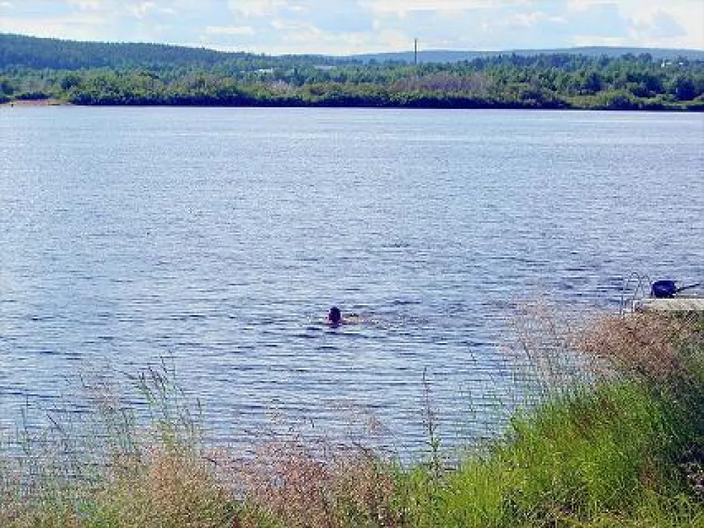 Camping Aavasuvannon Majat